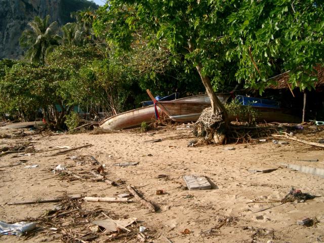 tsunami3216.jpg.jpg