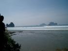 thumbs/tsunami2185.jpg.jpg
