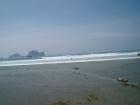 thumbs/tsunami2187.jpg.jpg